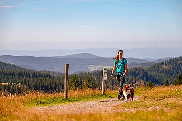 Wandern mit Hund im Urlaub im Hochschwarzwald im Hotel Bären Titisee Neustadt