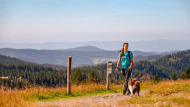 Wandern mit Hund im Urlaub im Hochschwarzwald im Hotel Bären Titisee Neustadt