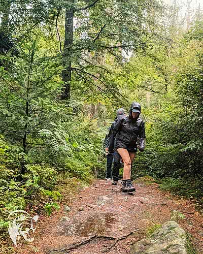 Regen? Na und! ️ Ein verregneter, aber angenehm warmer Augustmorgen im Hochschwarzwald – sattes Grün, sommerliche Temperaturen und jede Menge gute Energie.